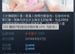 成人区国产,国产生态下的成人区发展概览