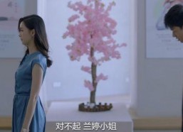 国产情侣真实,见证爱情的力量