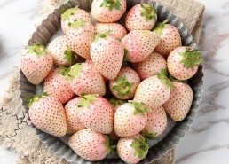 水莓100完全国产免费,国产免费，引领健康生活新潮流