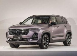 2019国产精品,匠心独运，绽放时代光彩